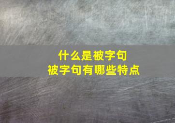 什么是被字句 被字句有哪些特点